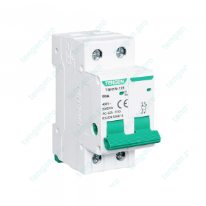 Выключатель нагрузки TGH1N-125, 2P, 80A, 2M