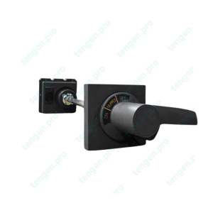 Рукоятка поворотная выносная TEM7E-RH-125/250, IP56, для TEM7(E)-125_250