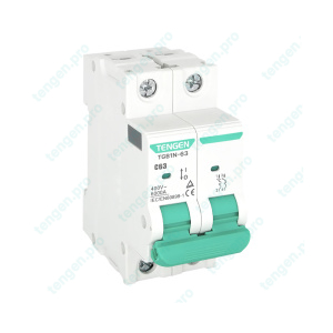 Выключатель автоматический TGB1N-63, 2P, 63A, хар-ка C, 6kA, 2M
